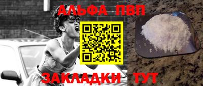 стаф Новодвинск